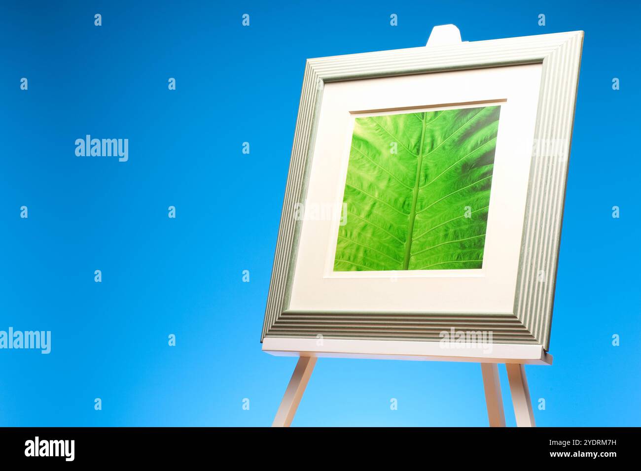 Leaf stand hi-res stock photography and images - Alamy