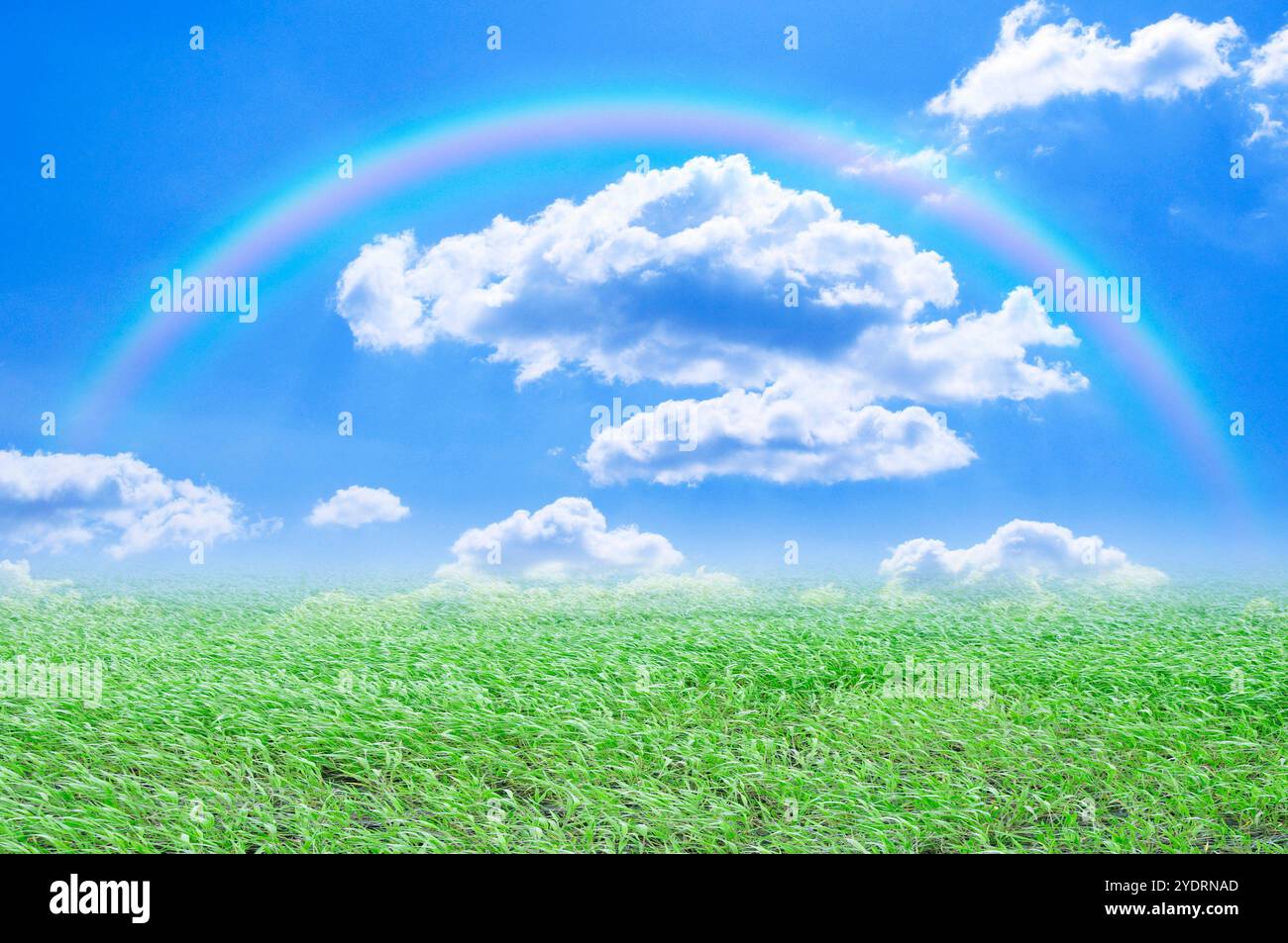 Rainbow grass hi-res stock photography and images - Alamy