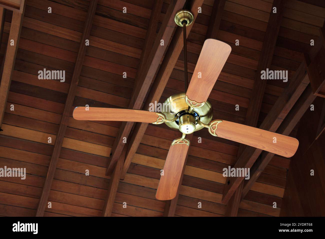 Window at the ceiling hi-res stock photography and images - Alamy