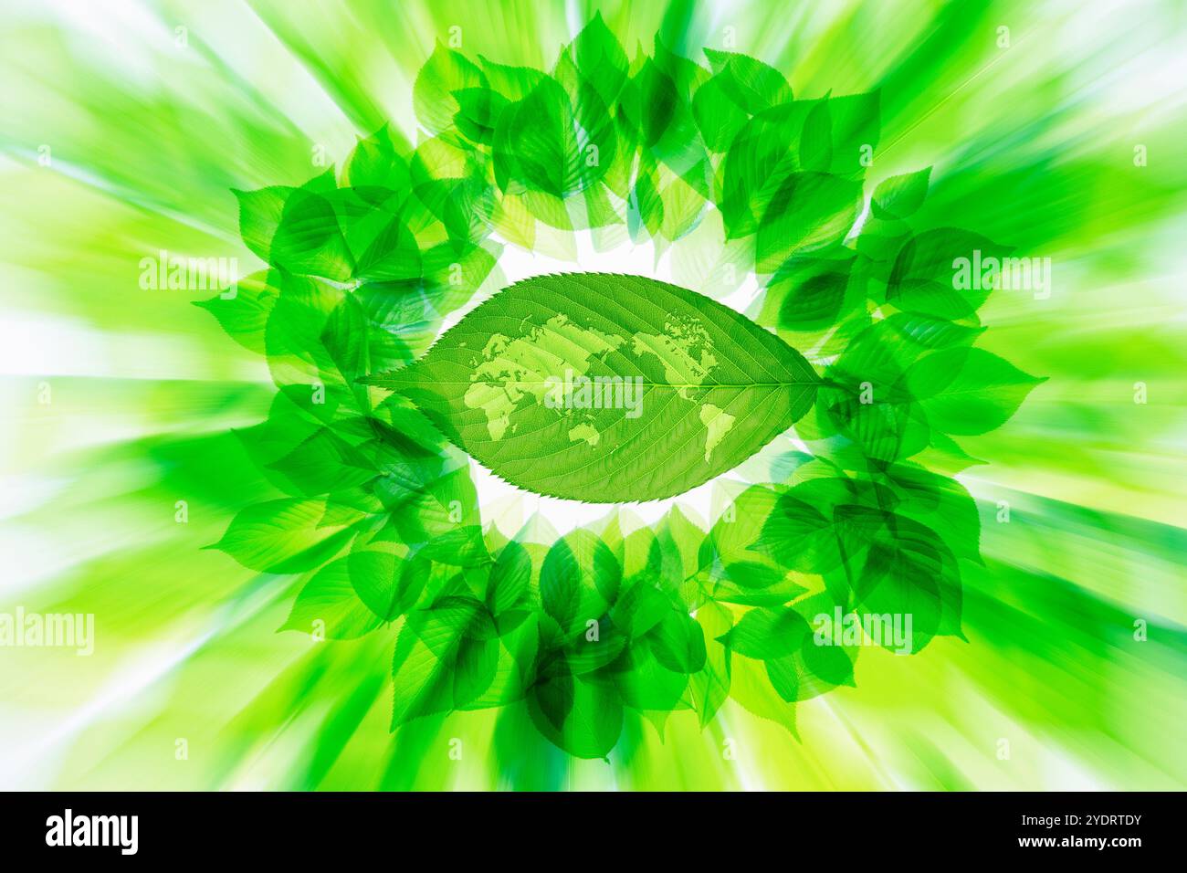 Fresh green and a world map Stock Photo - Alamy