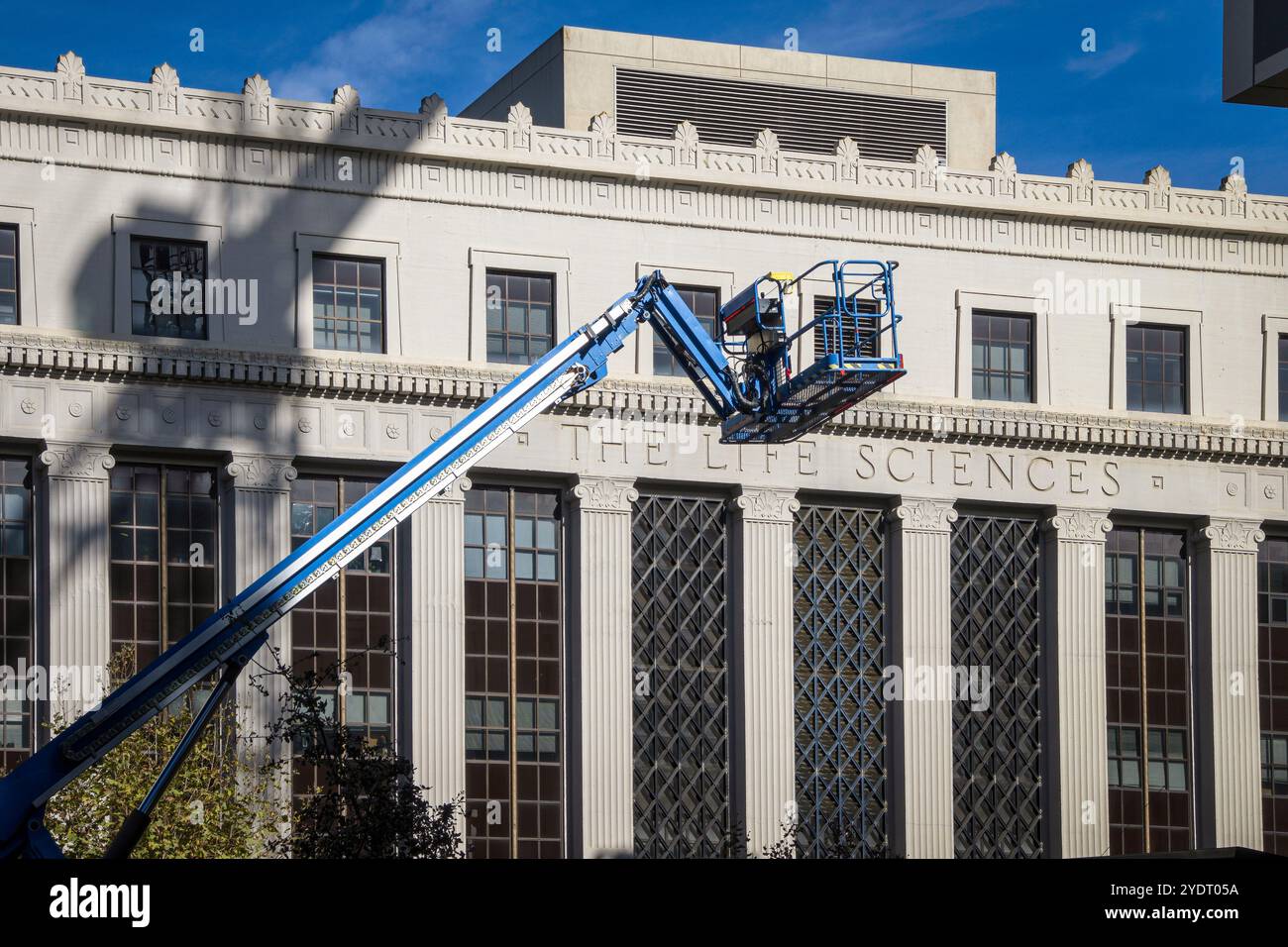 A cherry picker being used for the new Undergraduate Academic Building at U.C. Berkeley. The UAB is being constructed from mass timber. Stock Photo