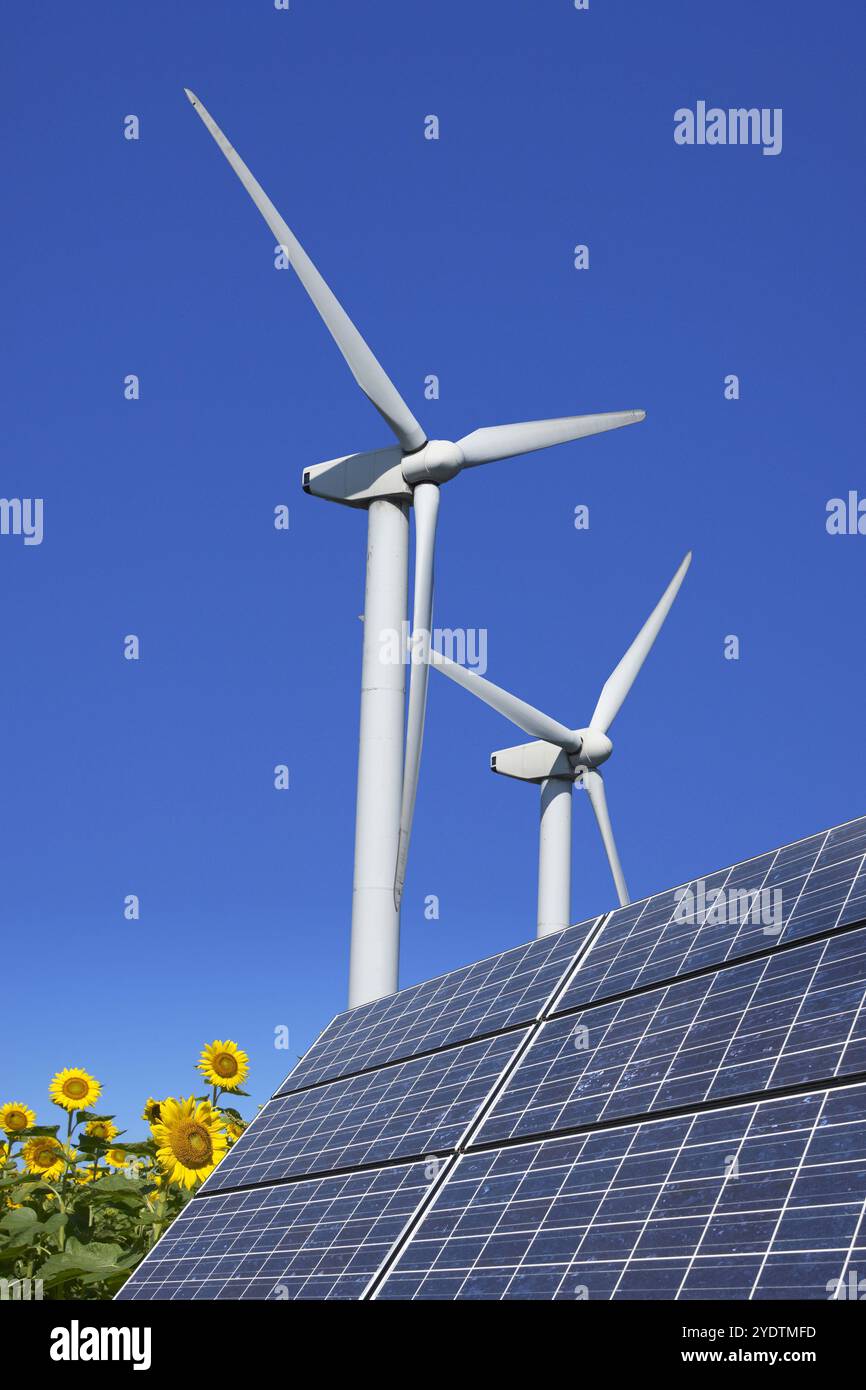 Sunflower with solar panel hi-res stock photography and images - Alamy