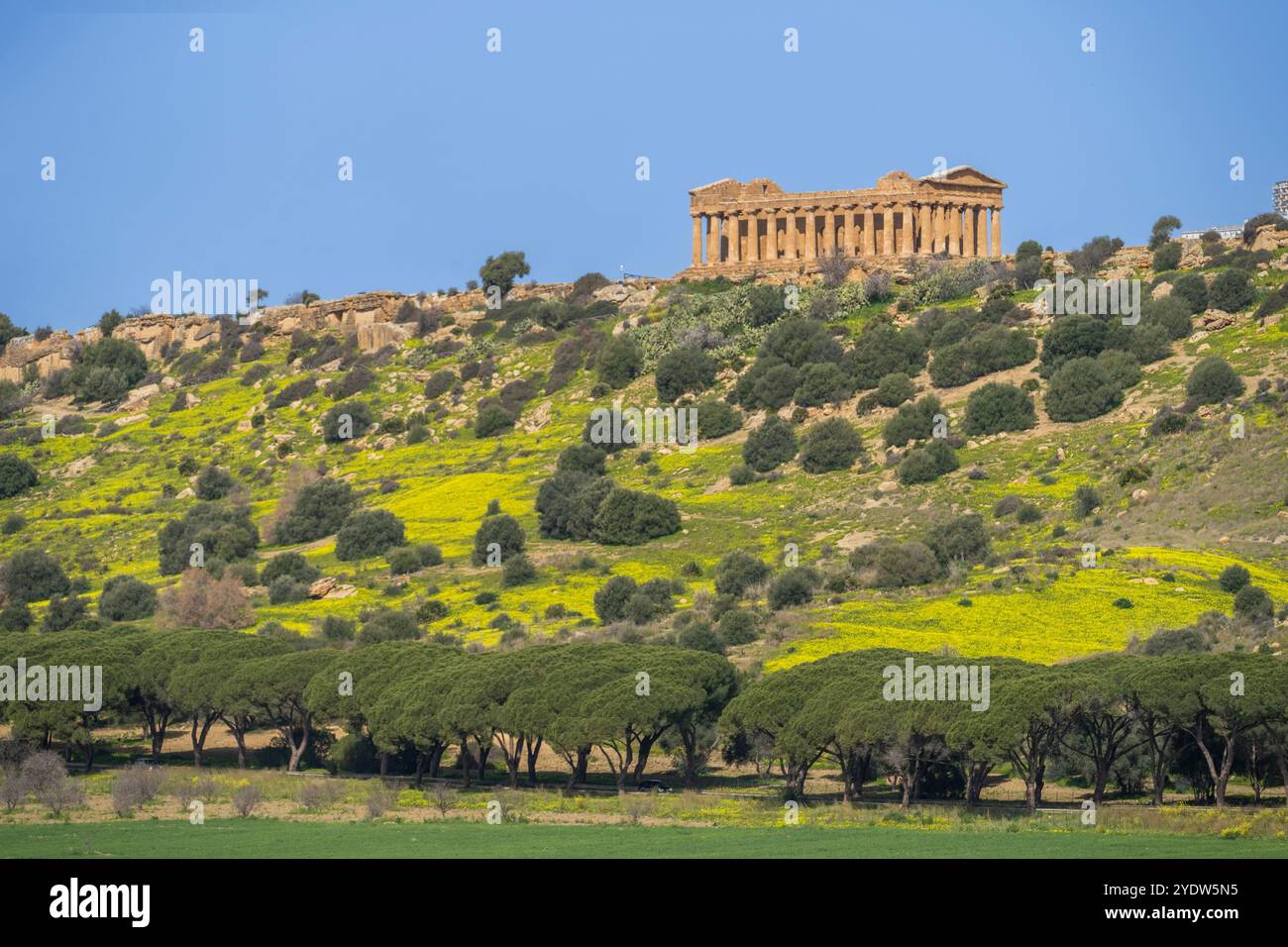 Temple of Concordia, Valley of the Temples, UNESCO World Heritage Site, Agrigento, Sicily, Italy, Mediterranean, Europe Stock Photo
