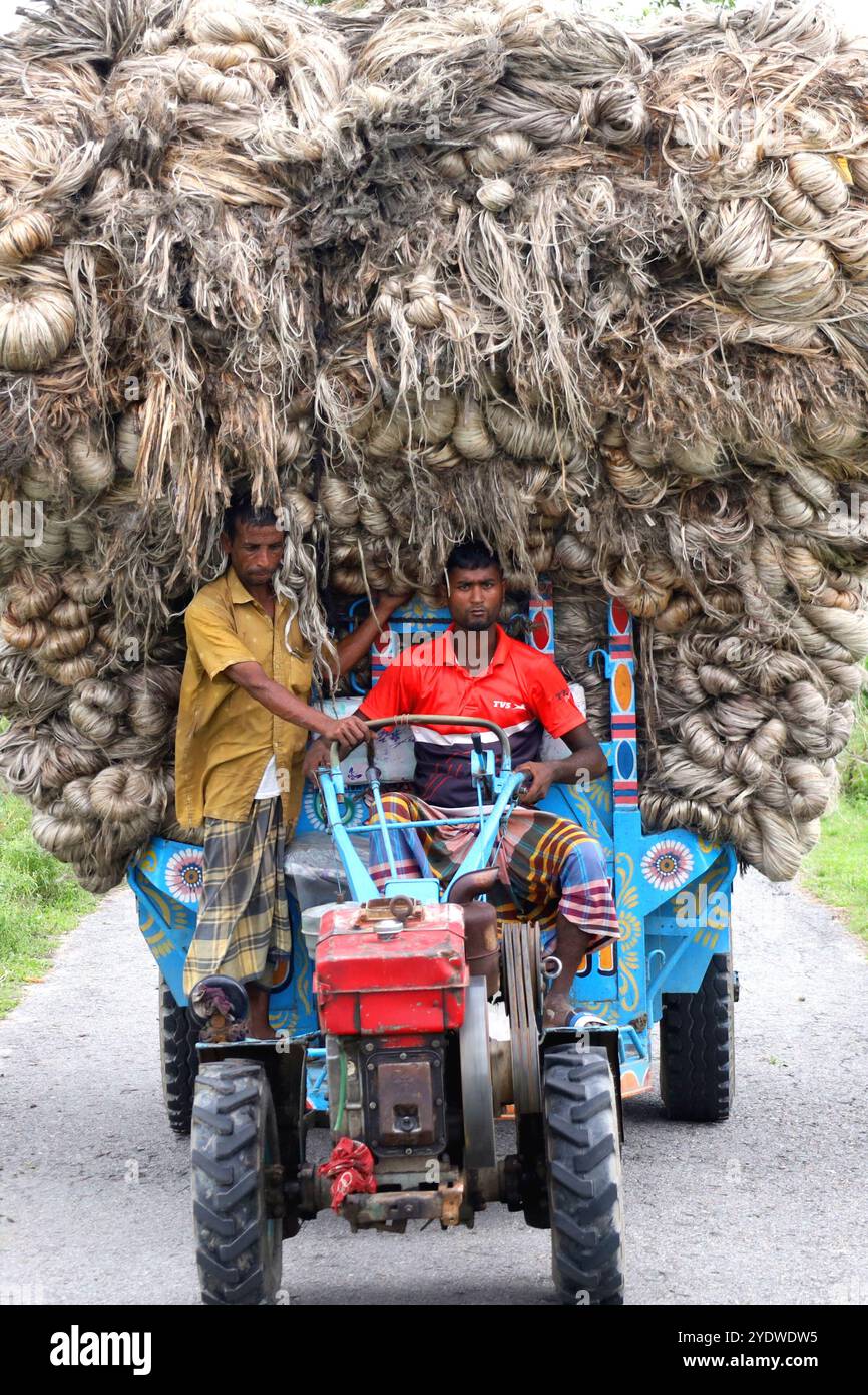 Jamalpur, Jamalpur, Bangladesh. 28th Oct, 2024. Workers carry huge quantities of jute in a small truck from the Guthail jute market to factories in Jamalpur district of Bangladesh. Then various products are made from jute through the process. Jute is a very eco-friendly crop. Bags, sarees, shoes, sandals, bed sheets, curtains, sofa covers, carpets and many other products are made of jute. At present, the process of making eco-friendly polythene bags from jute is going on in Bangladesh. A laborer earns about a day and a driver 2 a day for loading and unloading jute from a car. (Credit Image: Stock Photo