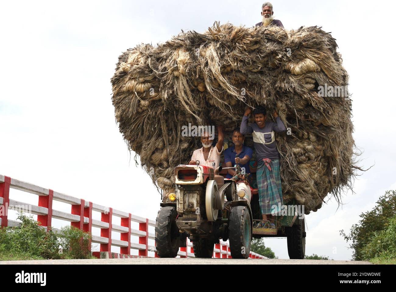 Jamalpur, Jamalpur, Bangladesh. 28th Oct, 2024. Workers carry huge quantities of jute in a small truck from the Guthail jute market to factories in Jamalpur district of Bangladesh. Then various products are made from jute through the process. Jute is a very eco-friendly crop. Bags, sarees, shoes, sandals, bed sheets, curtains, sofa covers, carpets and many other products are made of jute. At present, the process of making eco-friendly polythene bags from jute is going on in Bangladesh. A laborer earns about a day and a driver 2 a day for loading and unloading jute from a car. (Credit Image: Stock Photo