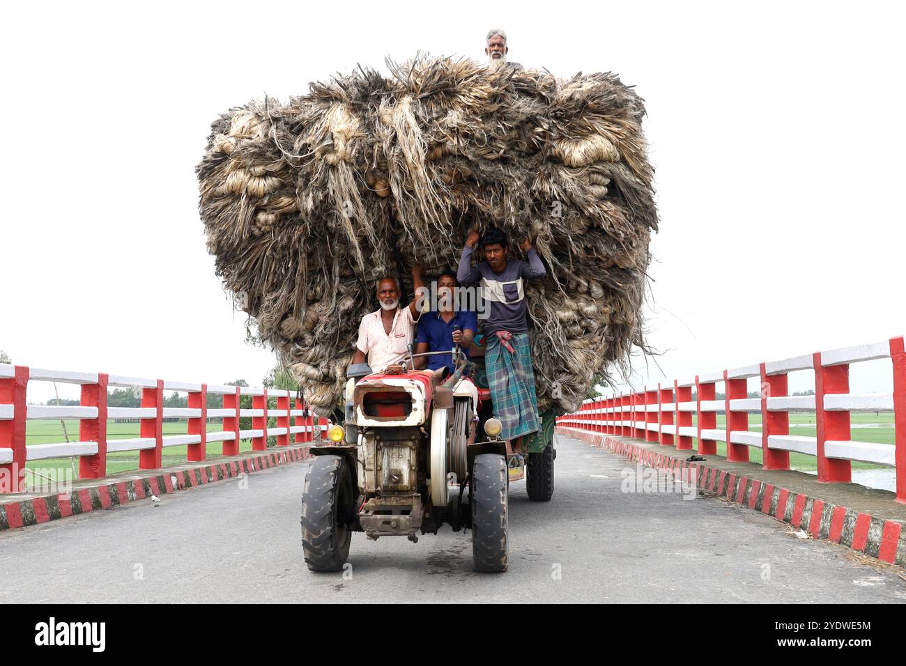 Jamalpur, Jamalpur, Bangladesh. 28th Oct, 2024. Workers carry huge quantities of jute in a small truck from the Guthail jute market to factories in Jamalpur district of Bangladesh. Then various products are made from jute through the process. Jute is a very eco-friendly crop. Bags, sarees, shoes, sandals, bed sheets, curtains, sofa covers, carpets and many other products are made of jute. At present, the process of making eco-friendly polythene bags from jute is going on in Bangladesh. A laborer earns about a day and a driver 2 a day for loading and unloading jute from a car. (Credit Image: Stock Photo