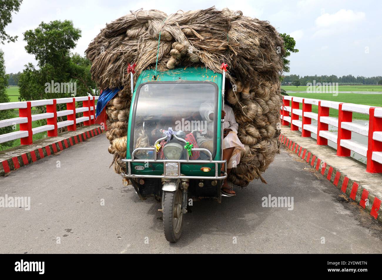 Jamalpur, Jamalpur, Bangladesh. 28th Oct, 2024. Workers carry huge quantities of jute in three-wheeled auto-rickshaws from Guthail jute market to factories in Jamalpur district of Bangladesh. Then various products are made from jute through the process. Jute is a very eco-friendly crop. Bags, sarees, shoes, sandals, bed sheets, curtains, sofa covers, carpets and many other products are made of jute. At present, the process of making eco-friendly polythene bags from jute is going on in Bangladesh. A laborer earns about a day and a driver 2 a day for loading and unloading jute from a car. (Cre Stock Photo