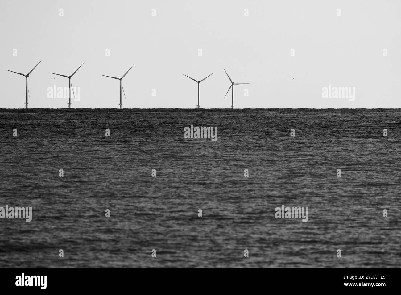 Black and white view of the Rampion wind farm off the coast of Worthing ...