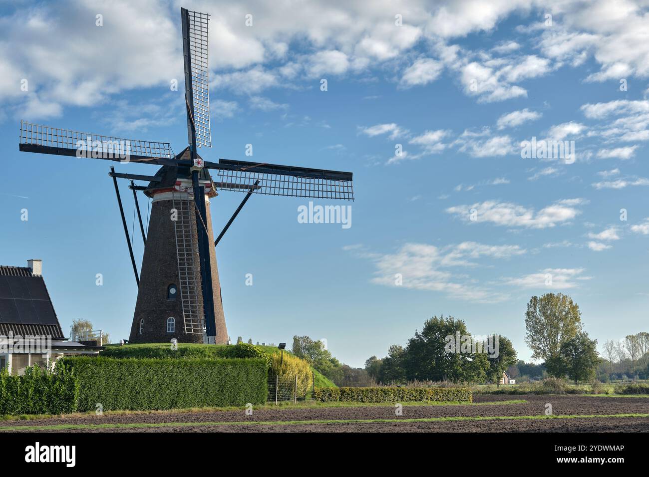 A scenic view of the historic windmill de Roosdonck in rural Nuenen, Noord-Brabant, blue sky, and green landscape. Stock Photo