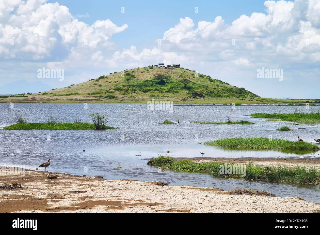 African savannah scene hi-res stock photography and images - Alamy