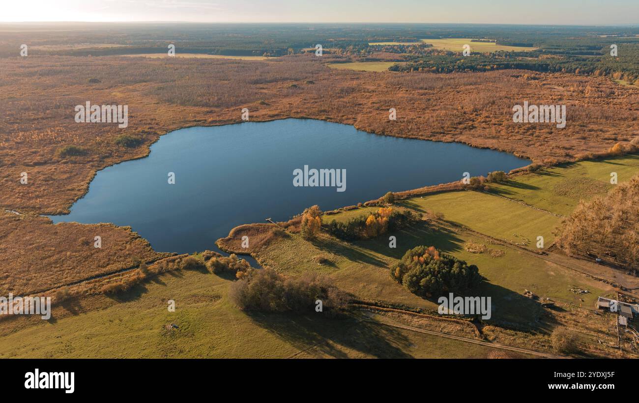 The serine/threonine kinase Stk and the phosphatase Stp regulate cell wall  synthesis in Staphylococcus aureus | Scientific Reports, image size:1300x820