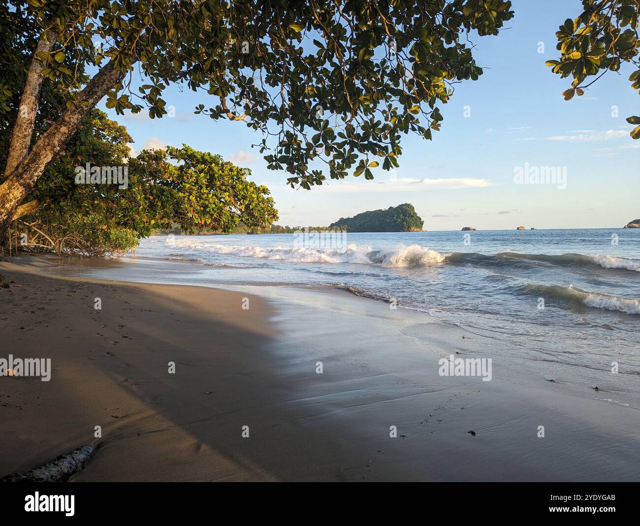 Sunset on tropical beach near Quepos Costa Rica, breaking waves and mangrove trees - Smartphone Captured Stock Image