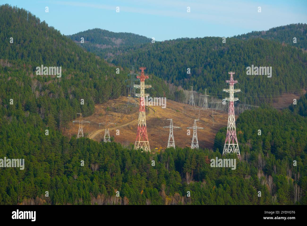 High voltage pylons in the middle of the forest Stock Photo