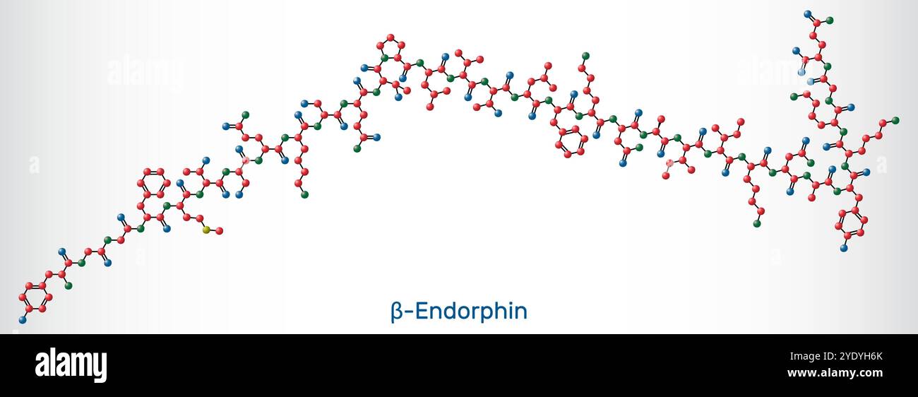 Beta endorphin molecule model. Endogenous opioid neuropeptide and peptide hormone. Sheet of paper in a cage.  Vector illustration Stock Vector