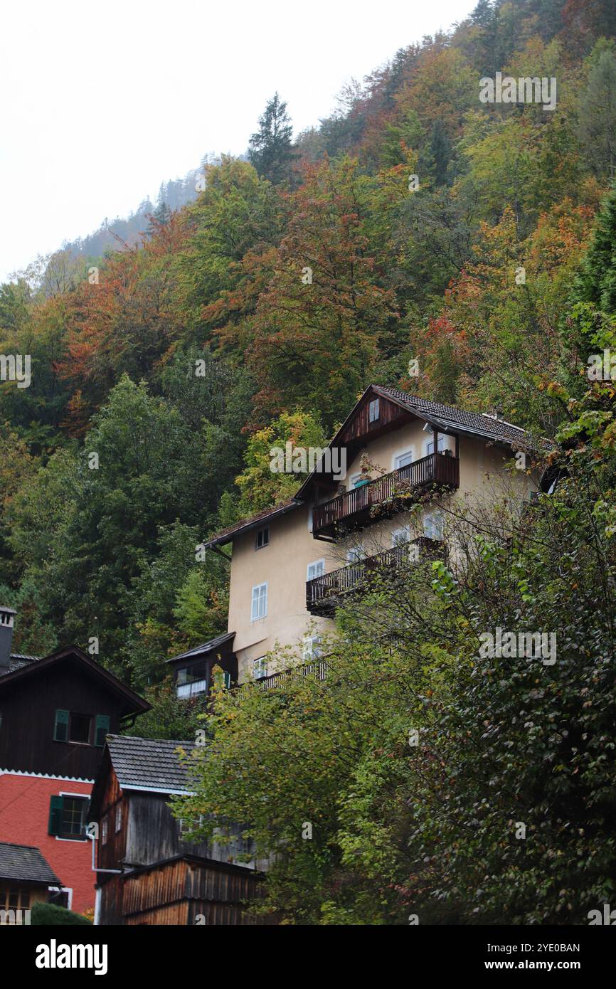 Off grid in an apartment? : r/preppers - Reddit