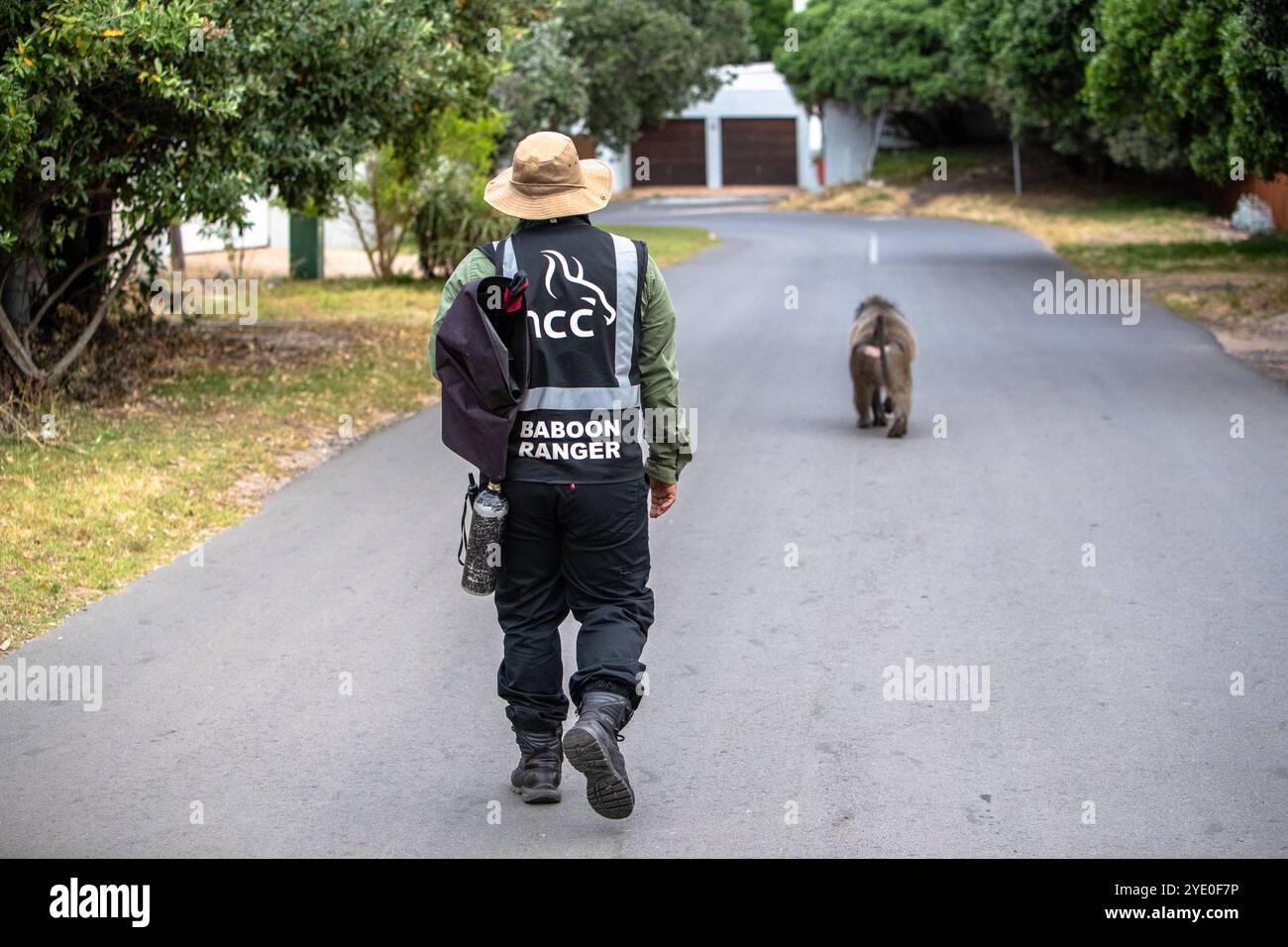 Human altered areas hi-res stock photography and images - Alamy