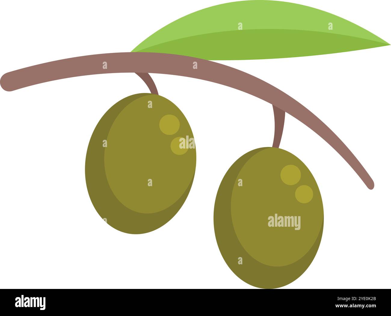 Simple illustration of an olive branch holding two green olives Stock Vector