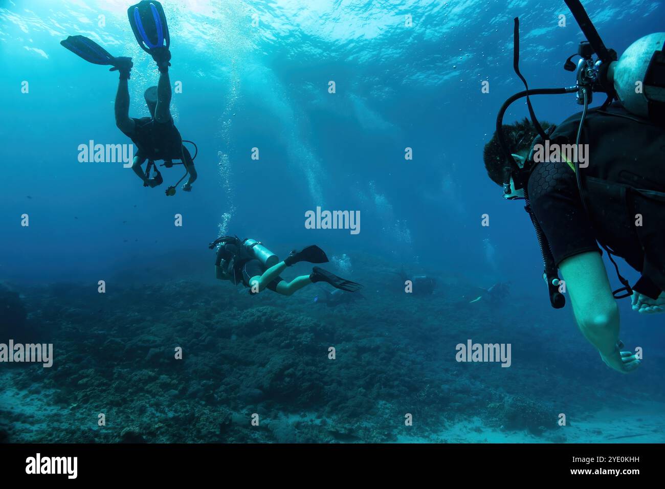Group of scuba divers are exploring a vibrant coral reef in the deep ...