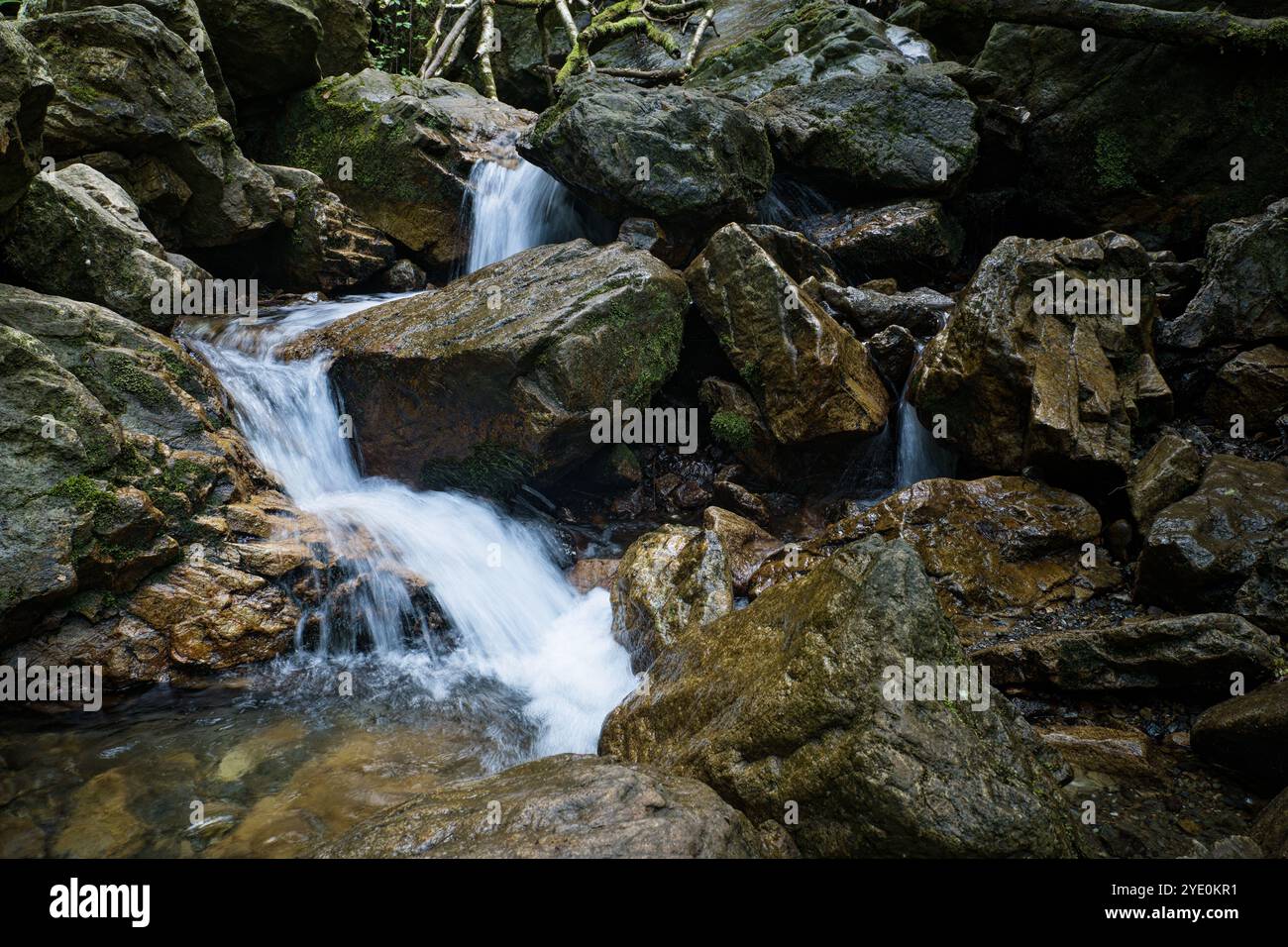 Tranquil river flows gently hi-res stock photography and images - Alamy