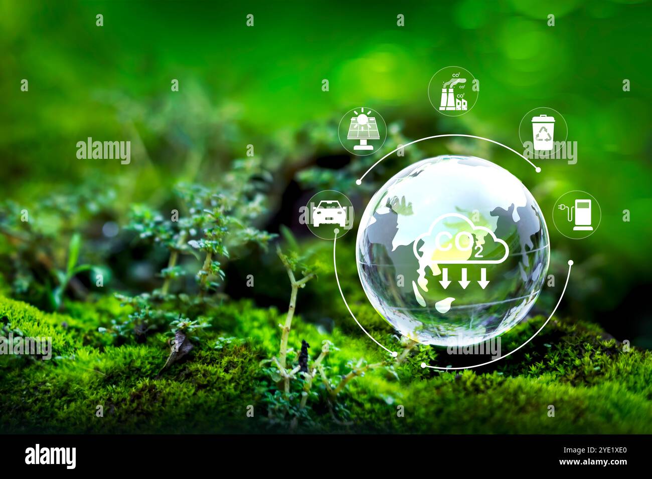 Crystal globe placed on moss. ESG icon for environment Stock Photo - Alamy