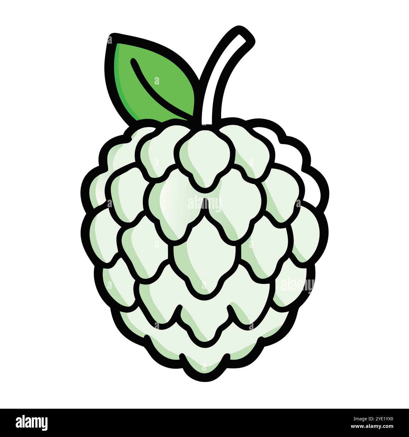 Custard apple vector illustration with green leaf Stock Vector