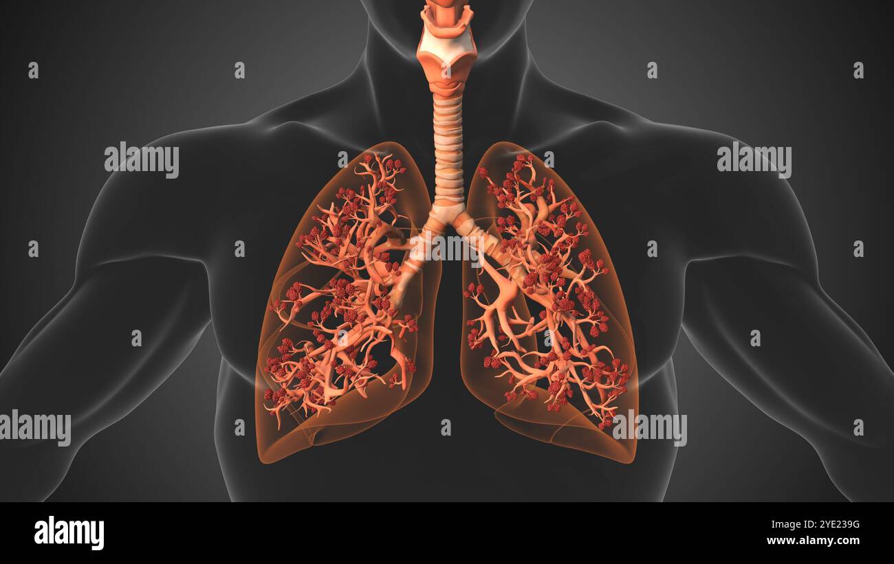 Lung Alveoli Supporting Vital Respiration and Oxygen Flow Stock Photo