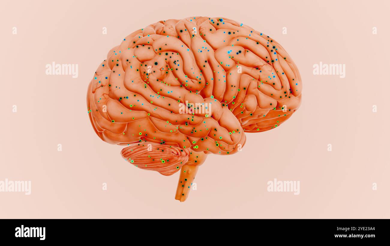 Neural Signals Transmitting Information Within the Brain Stock Photo ...