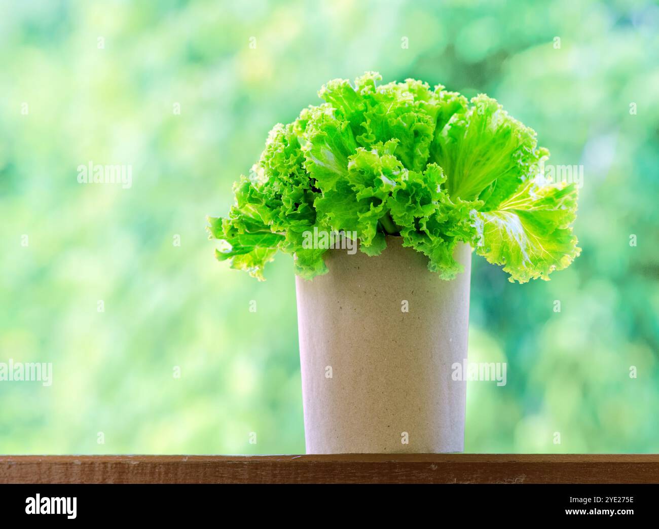Paper Letuce Fresh lettuce in paper bag Stock Photo - Alamy