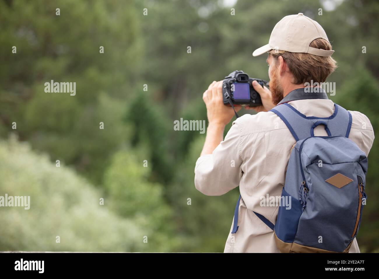 Photographer Back back view of man photographer taking photographs of nature Stock Photo ...