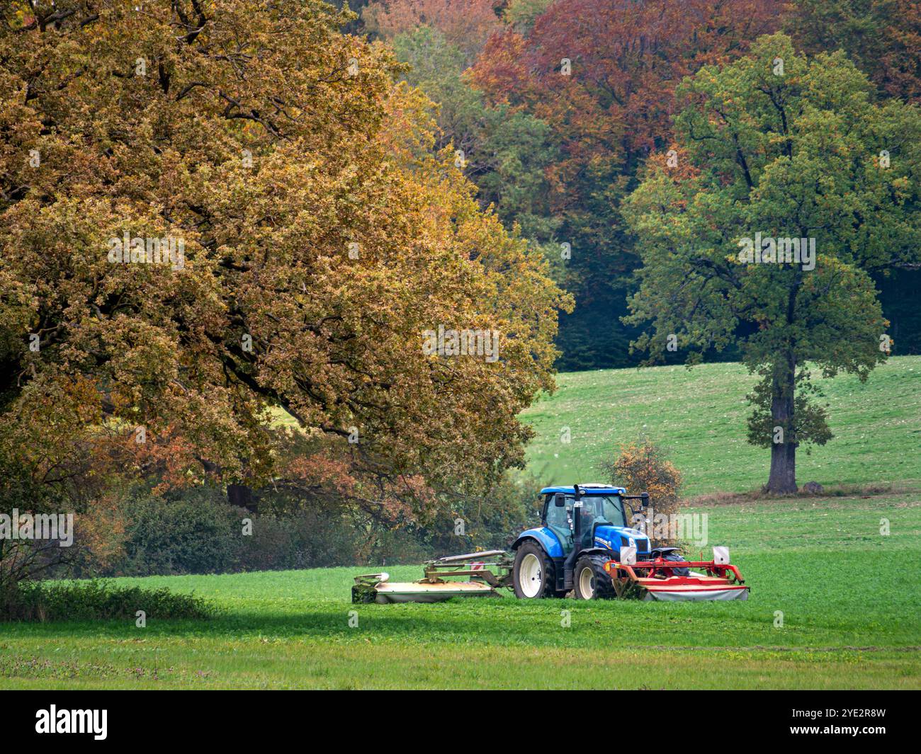 TRAKTOR BAYERN visual data 4