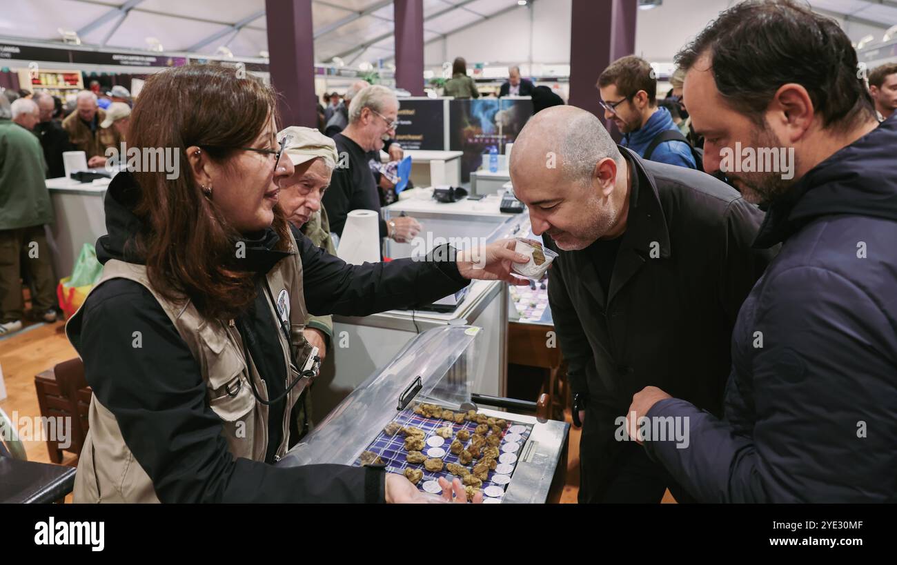 At the Alba Truffle Festival, visitors engage in a truffle tasting experience with local vendors. Guests explore various truffle products Stock Photo