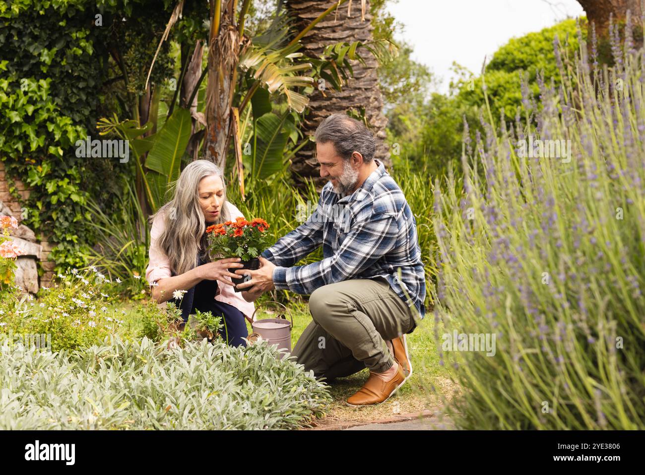 Mature Couple Gardening Together Planting Flowers In Lush Green Garden mature-couple-gardening-together-planting-flowers-in-lush-green-garden