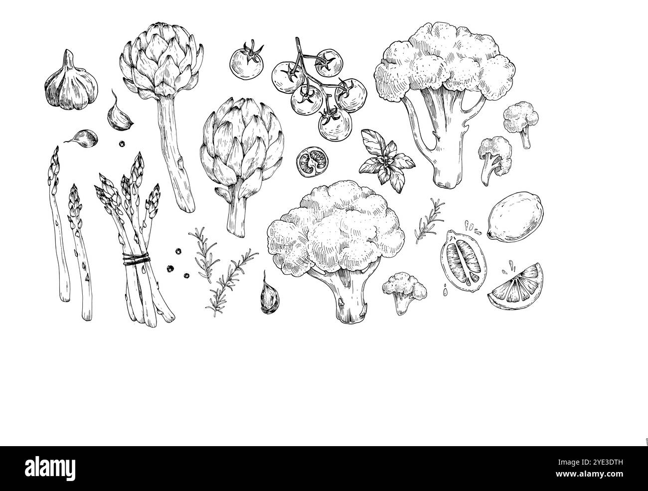 Vegetables, spices and herbs set. Artichoke, broccoli, asparagus, lemon, garlic, black pepper, basil Stock Vector