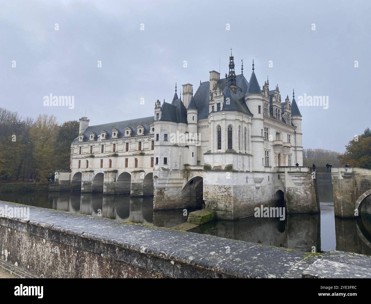 Château de Chenonceau , Chenonceau castle - Smartphone Captured Stock Image