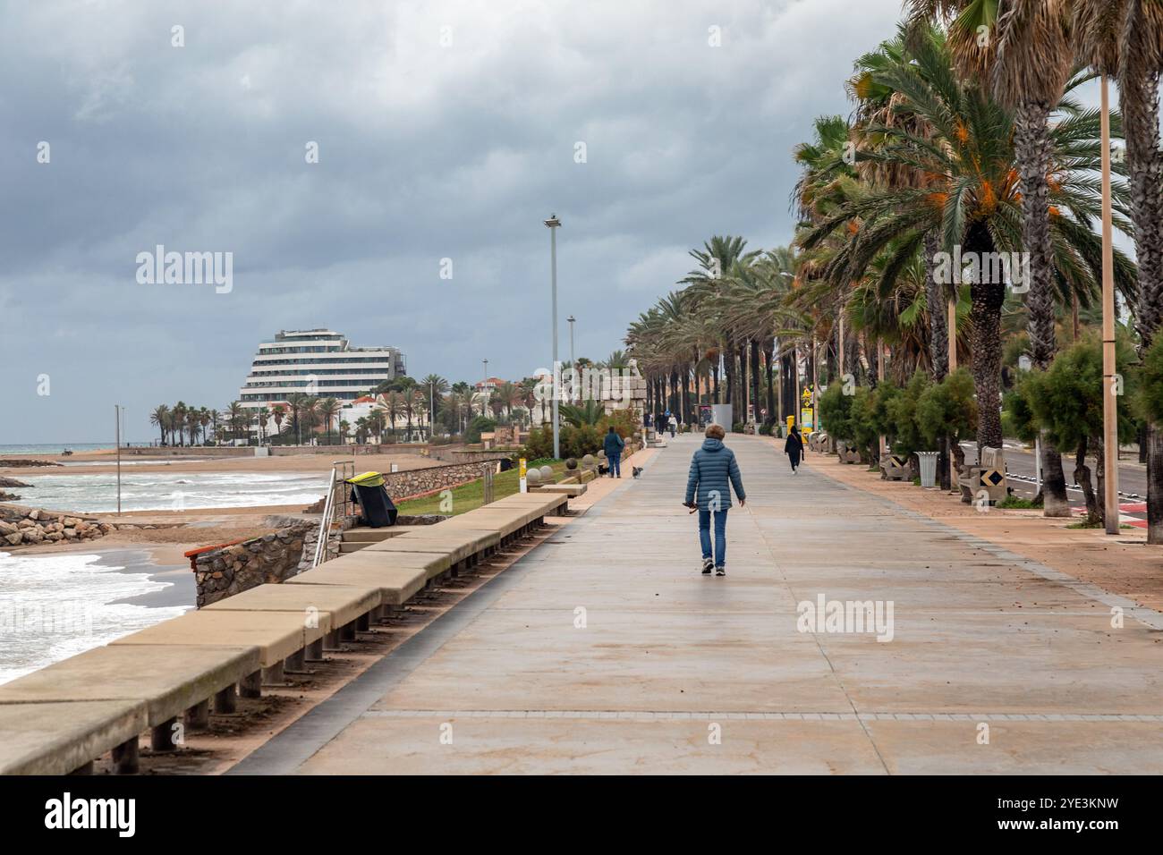 Spanish coastal palm trees hi-res stock photography and images - Alamy