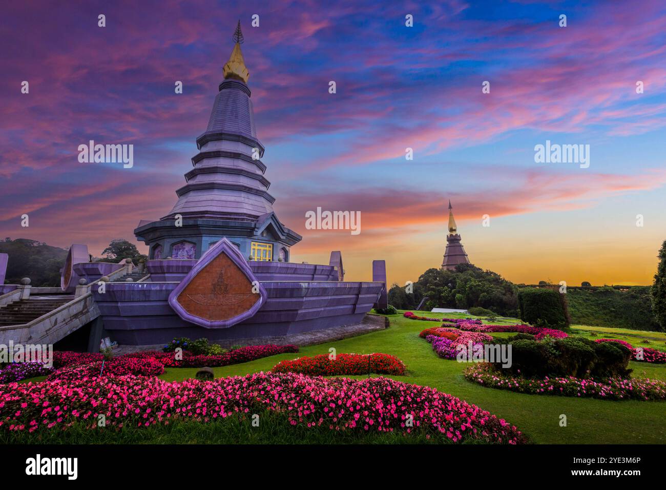 Thai national flower hi-res stock photography and images - Alamy