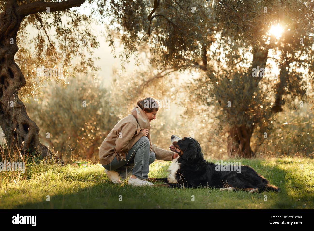 A woman sits peacefully with her Bernese Mountain Dog in a quiet, sun-dappled forest clearing. Stock Photo