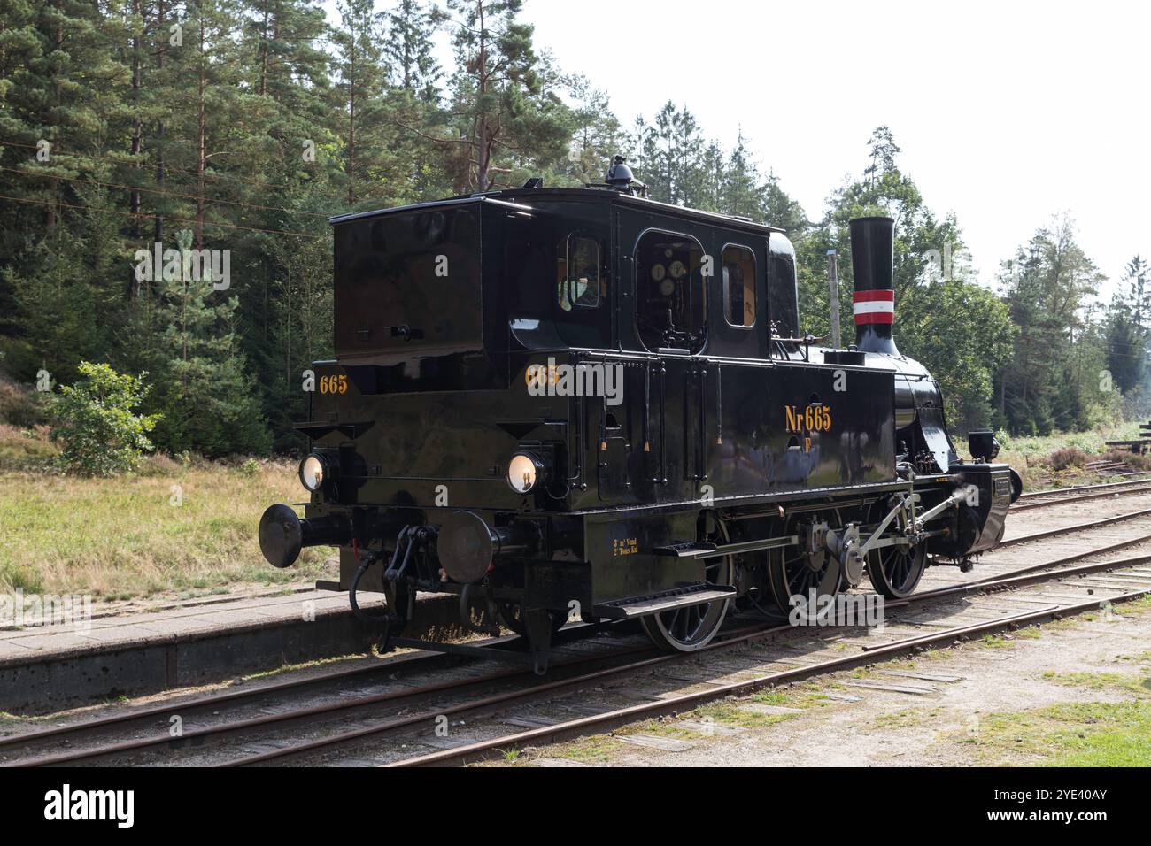 Vintage Steam Locomotive Traveling Through Scenic Forest Track Stock Photo