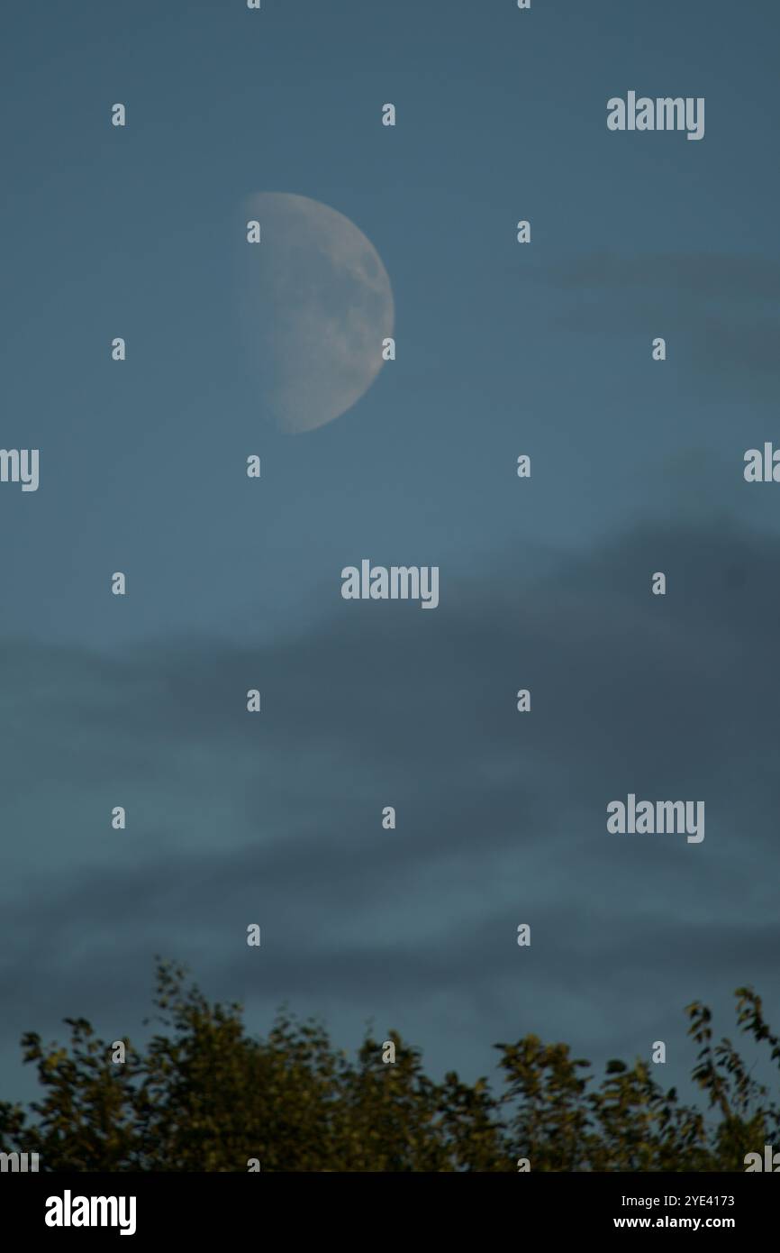 A beautiful moon appearing above the hedgerow and gentle clouds. Stock Photo