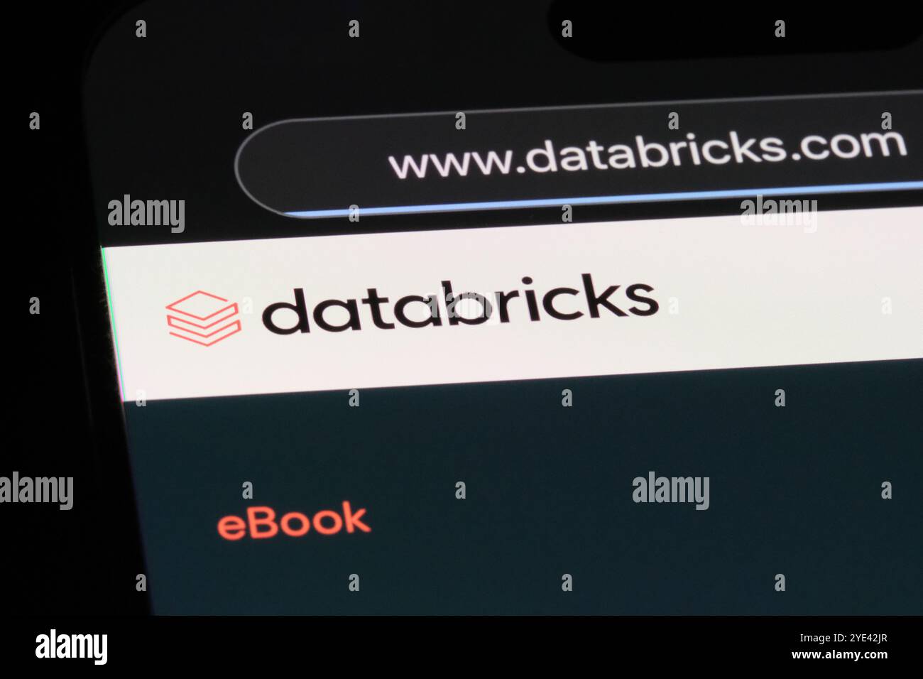 Databricks company brand logo on official website. American software ...