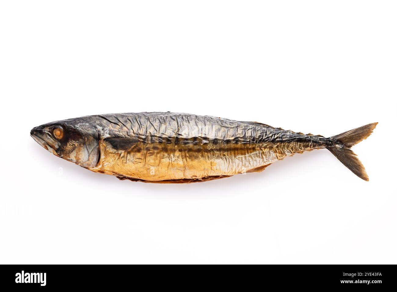 Smoked fish atlantic mackerel isolated on white background Stock Photo
