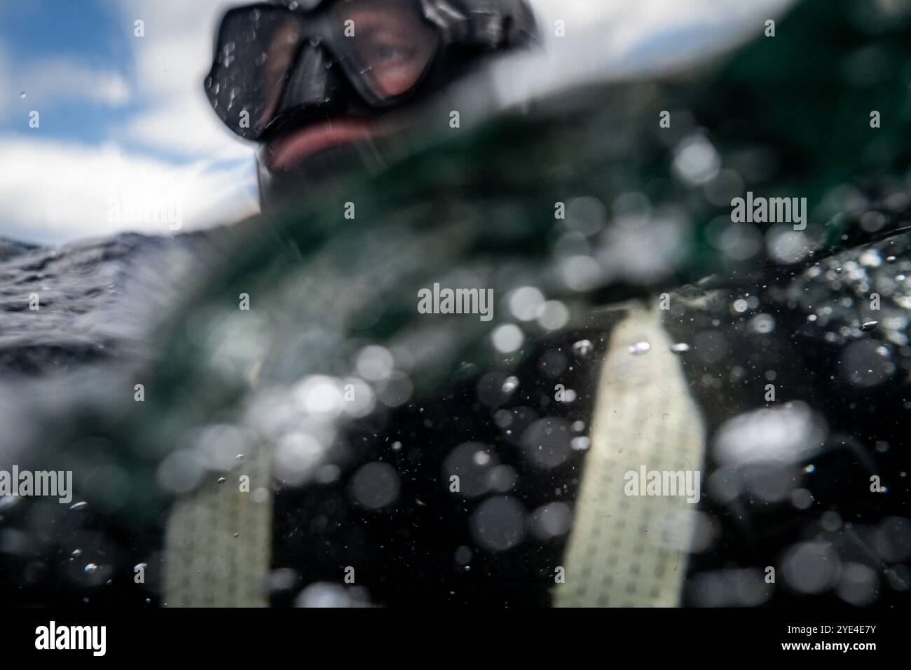 Underwater photography of a scallop fisherman scuba diving on the boat in the bay of Saint-Malo in the Ille-et-Vilaine department in the Brittany regi Stock Photo