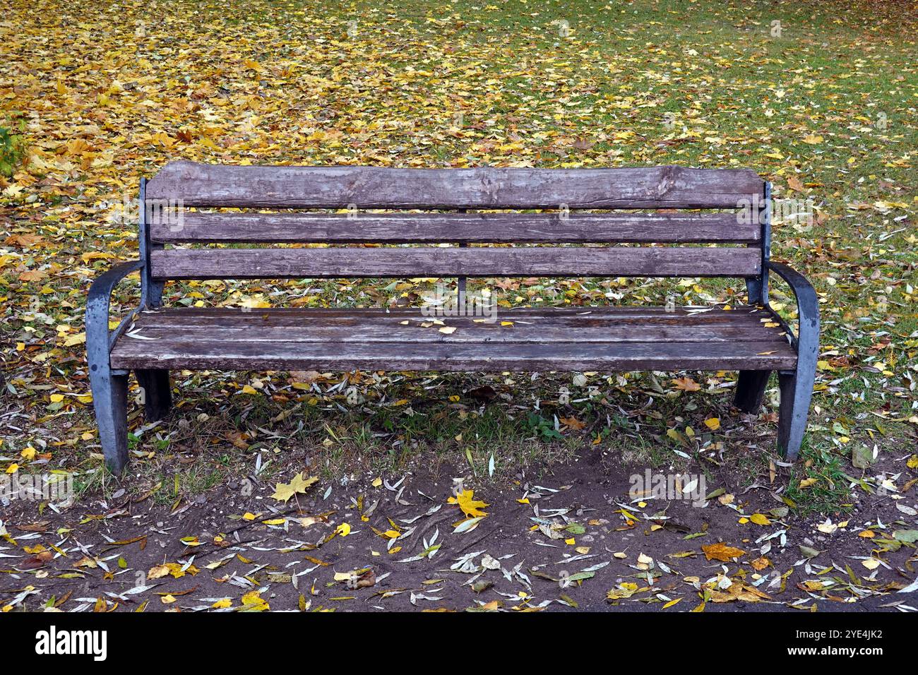 Empty park bench leaves hi-res stock photography and images - Alamy