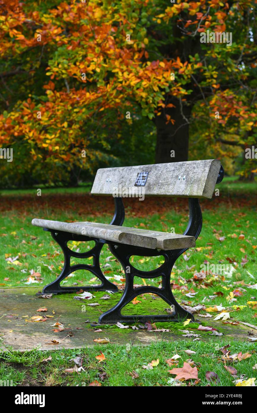 Bench in the park in autumn Stock Photo