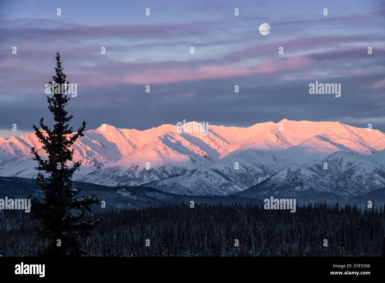 Healy 2023 hi-res stock photography and images - Alamy
