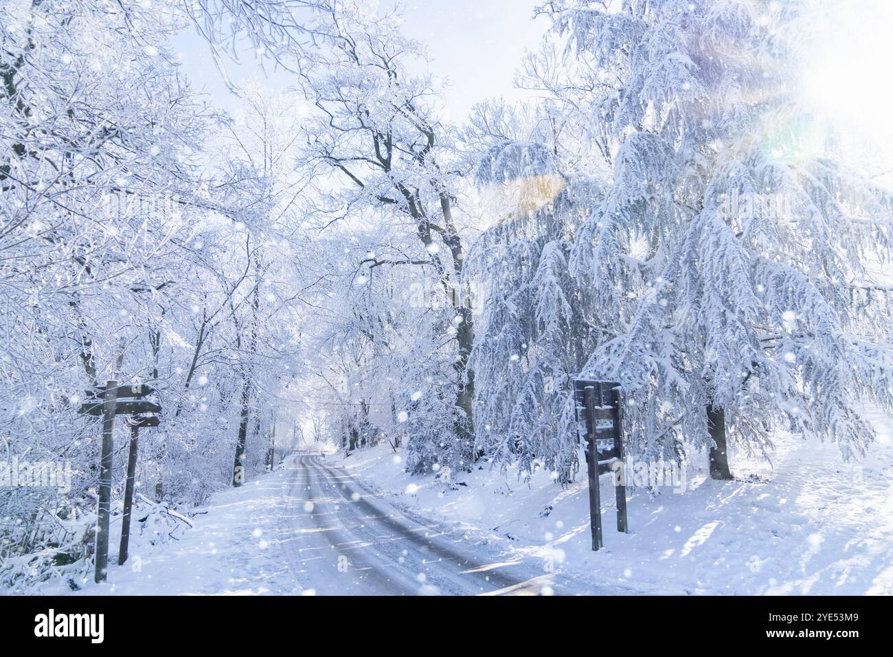 Winter road snow landscape trees hi-res stock photography and images ...