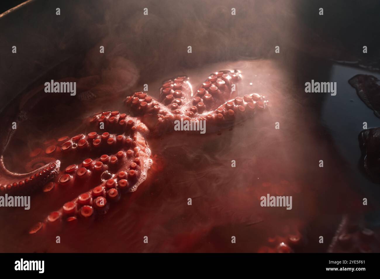 Octopus boiling in pot close hi-res stock photography and images - Alamy