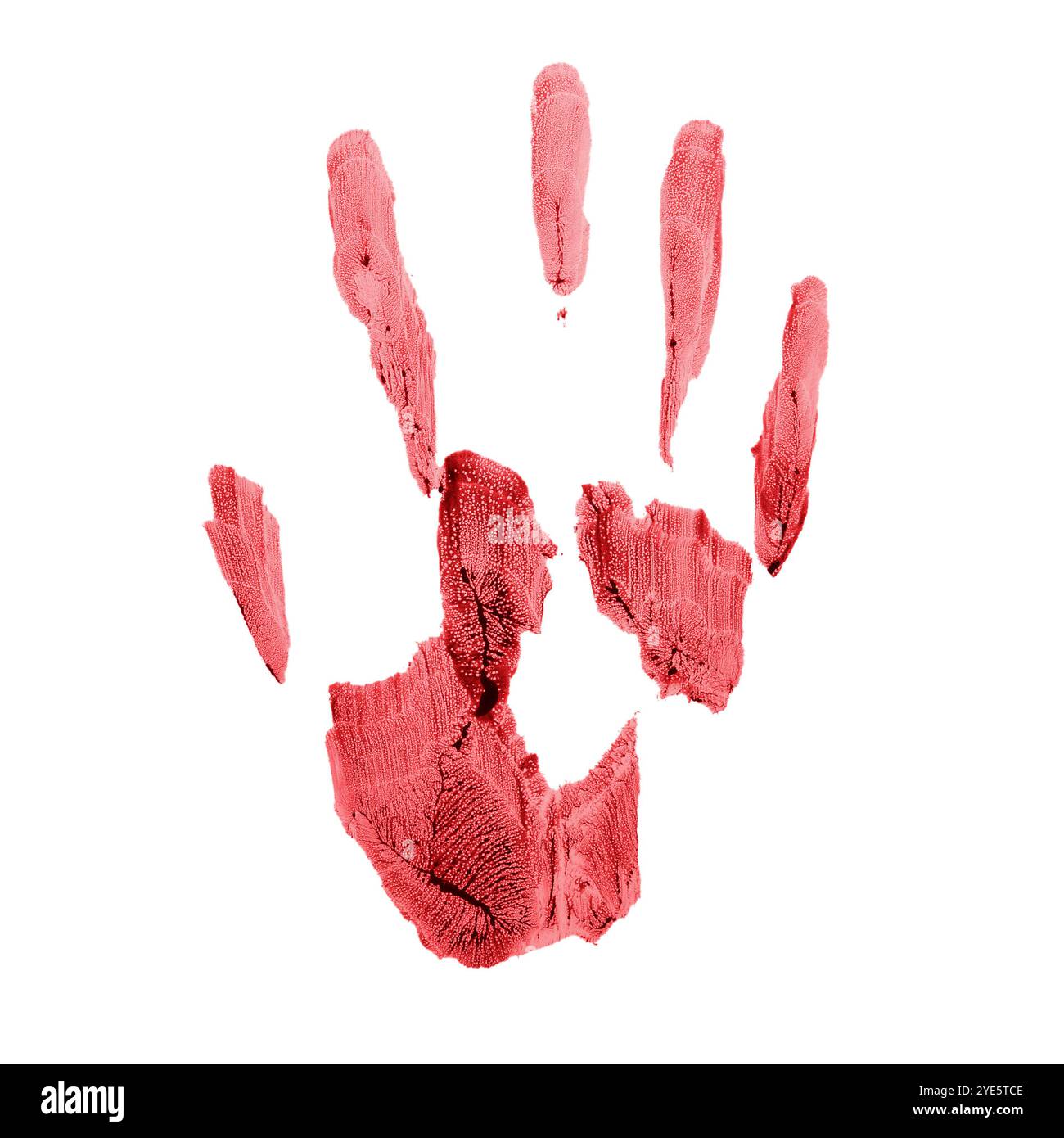 Bloody handprint isolated on white, top view Stock Photo