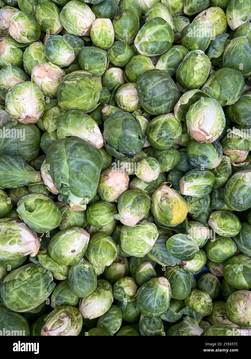 Brussels sprouts background, Brussels sprouts from the market, Vegetables from the market. - Smartphone Captured Stock Image
