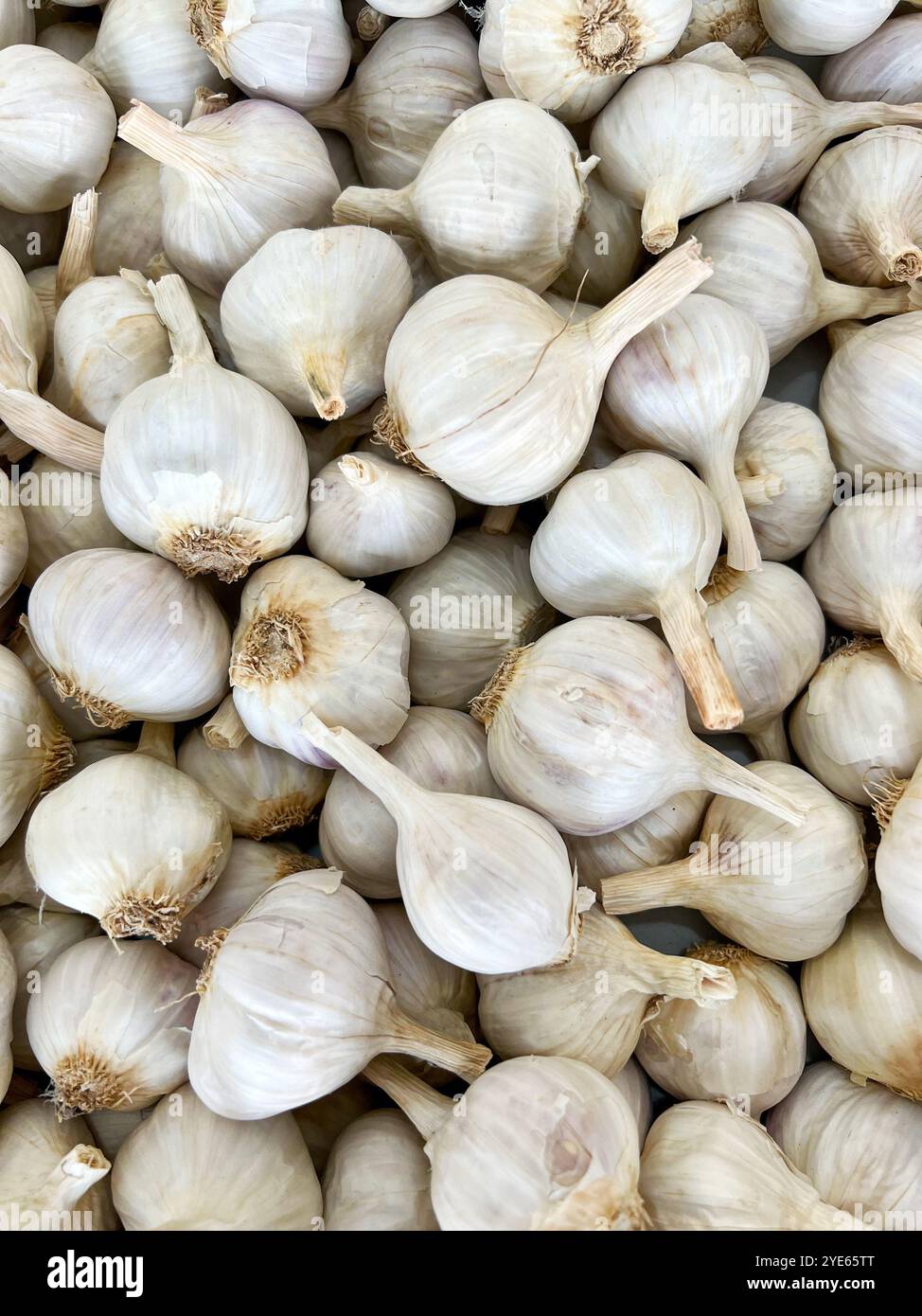 Garlic background, heads of garlic. Vegetables from the market. - Smartphone Captured Stock Image